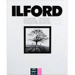 Ilford Multigrade IV RC Deluxe MGD.1M Black & White Variable Contrast Paper (16 x 20", Glossy, 10 Sheets)