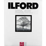 Ilford Multigrade IV RC Portfolio  Black & White Paper (16 x 20", Pearl, 10 Sheets)