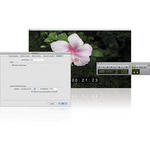Avid Video Satellite LE - Video Playback Option for Pro Tools HD
