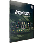 ILIO SpringAge - Spring Reverb Plug-In