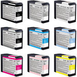 Epson 9 Ink Cartridge Kit for the Epson Stylus Pro 3800 Printer (Includes Photo Black, Matte Black, Light Black and Light Light Black)