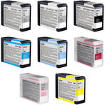 Epson 8 Ink Cartridges for the Epson Stylus Pro 3880 Large-Format Inkjet Printer (with Matte Black)