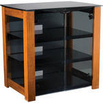 Sanus 1 DFAV230-CN1  - Base de Componentes (Castanheira)
