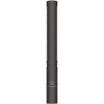 Sennheiser MKH 8060 - Short Shotgun Microphone