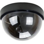 ARM Electronics C521MDB Color Mini Dome Security Camera