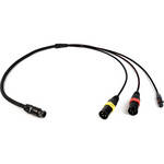 Remote Audio BCSMFV2CL9 Boom Cable System V2 Mixer Fanout for Sound Devices CL-9