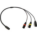 Remote Audio BCSMFV2DEVA Boom Cable System V2 Mixer Fanout for Zaxcom Deva