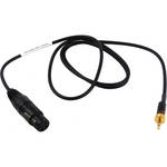 Remote Audio Remote Audio Wireless Cable