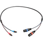 Remote Audio CA744XLRLO Dual XLR Male to Dual TA3F Output Cable for 744T (48")