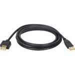 Tripp Lite 10' USB A / A Gold Extension Cable for USB 2.0 Cable (USB-A M / F)
