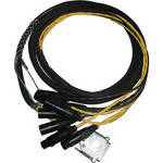 Avid DB25-XLR M+F AES/EBU DigiSnake - Digital I/O Snake (12-Foot)