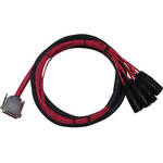 Avid DB25-XLRM DigiSnake - Analog or Digital Output Snake (12-Foot)