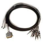 Avid DB25-TS +4 dBu/-10 dBV Padded DigiSnake - Output Snake (12-Foot)