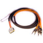Avid DB25-TRS DigiSnake - Analog Input or Output Snake (4-Foot)