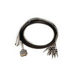 Avid DB25-TS +4 dBu/-10 dBV Padded DigiSnake - Output Snake (4-Foot)