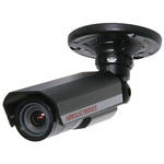 ARM Electronics C600BCDN High-resolution Day/Night Bullet Camera (Black)