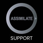 Assimilate Scratch Lab (Windows) One Year of Maintenance & Support