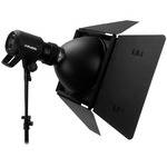 Profoto ProDaylight 800 Air HMI Basic Kit