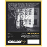 Bergger Fine-Art PORTRAIT VC (8 x 10") - 10 Sheets