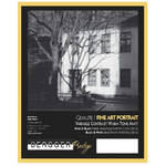 Bergger Fine-Art PORTRAIT VC (20 x 24") - 10 Sheets