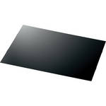 Eizo Panel Protector for FlexScan 21.3" S2100 Monitor
