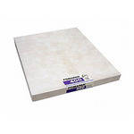 Foma Fomapan 400 Action B&W Negative Sheet Film (8 x 10", 50 Sheets)