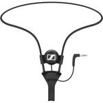 Sennheiser EZT 3011 Induction Neck Loop for RR 840 S and RI 830 S