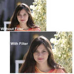 Tiffen Filter Wheel 1 Glimmerglass 1/4 Filter