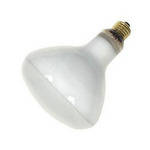Ushio DXB Lamp (500W/120V)