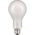 Ushio EBV Photoflood Lamp (500W/120V, Frosted)