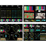 Leader Audio Lissajous Option for LV 5381 Multi SDI Monitor
