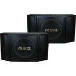 RSQ Audio SR-350 Professional Karaoke Speaker System (Pair)