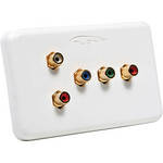 Atlona (5-RCA) Component Video Wall Plate With Analog Audio