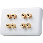 Atlona High-Quality Wall Plate for 4 Speakers