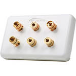 Atlona High-Quality Wall Plate for 3 Speakers