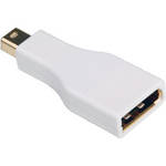 Atlona DisplayPort Female to Mini DisplayPort Male Adapter (White)