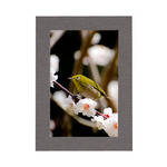 Collector's Gallery Graphite Lustre Blank Photo Insert Card (10 Pack)