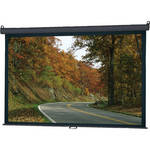 InFocus SC-PDW-94 Manual Pull Down Projection Screen (50 x 80")