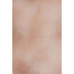 Backdrop Alley Air Brushed and Wash Muslin Backdrop (10 x 12', Canyon Road Air Brushed)