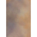 Backdrop Alley Air Brushed and Wash Muslin Backdrop (10 x 12', Cobblestone Air Brushed)