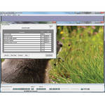 FutureVideo Media Player - Enterprise Edition (Windows 2000 / XP / 7)