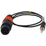 Ambient Recording Line Level Input Cable for TC App for iPod Touch/ iPhone/ iPad