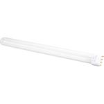 General Electric F55SL55W 55W Cinema Biax Fluorescent Lamp
