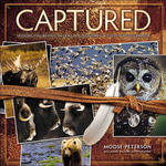 Pearson Education Captured: Lessons from Behind the Lens of a Legendary Wildlife Photographer