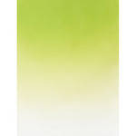 Botero 402 Graduated Muslin Background (5 x 7', Green, White)