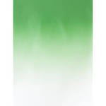 Botero 403 Graduated Muslin Background (5 x 7', Dark Green, White)