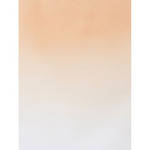 Botero 406 Graduated Muslin Background (5 x 7', Salmon, White)