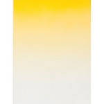 Botero 408 Graduated Muslin Background (5 x 7', Yellow, White)