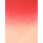 Botero 409 Graduated Muslin Background (5 x 7', Red, White)
