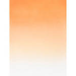Botero 411 Graduated Muslin Background (5 x 7', Orange, White)